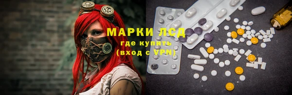 PSILOCYBIN Бугульма