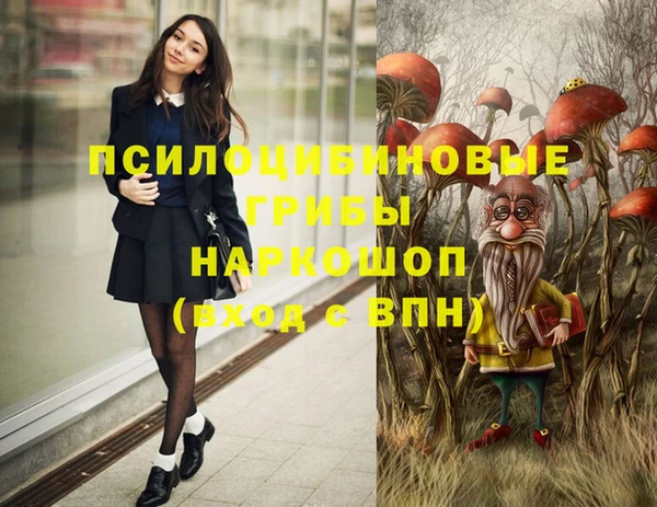 амф Бронницы
