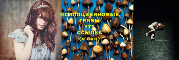 PSILOCYBIN Бугульма