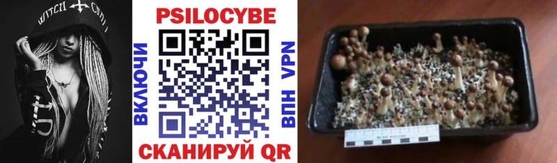 Галлюциногенные грибы Psilocybe  ссылка на мегу   Нефтеюганск 